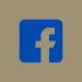 Facebook logo right color